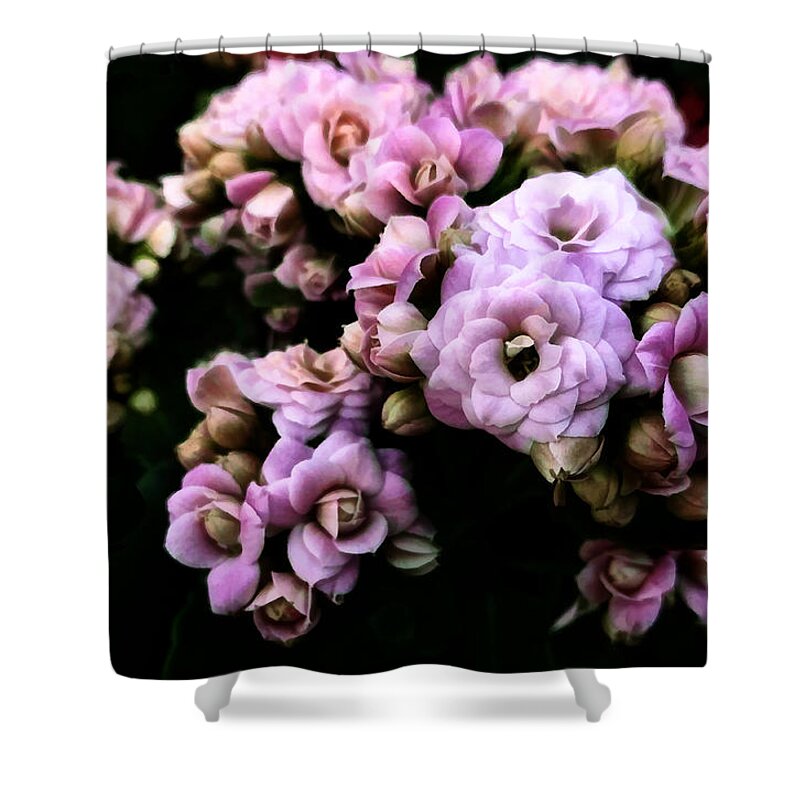 Black Shower Curtain featuring the photograph Petite and Pink by Steve Taylor