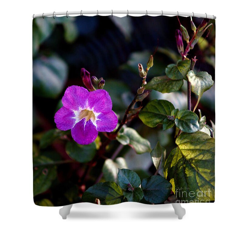Flower Photography Shower Curtain featuring the photograph Petite Fleur by Patricia Griffin Brett