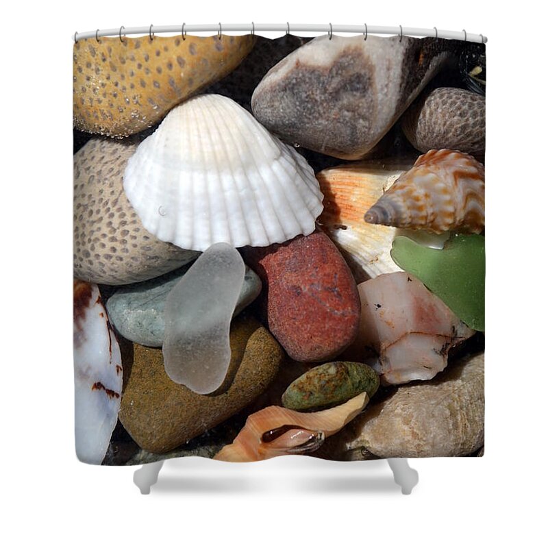 Stone Shower Curtain featuring the photograph Petoskey Stones lV by Michelle Calkins