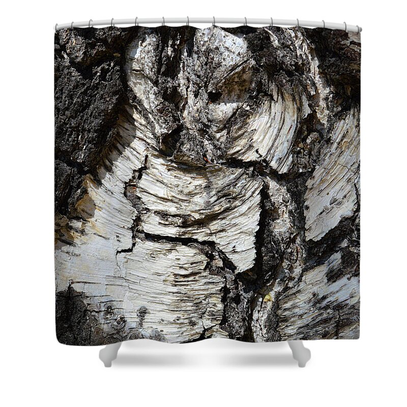 Wood Shower Curtain featuring the photograph Petrified Owl by Donna Blackhall