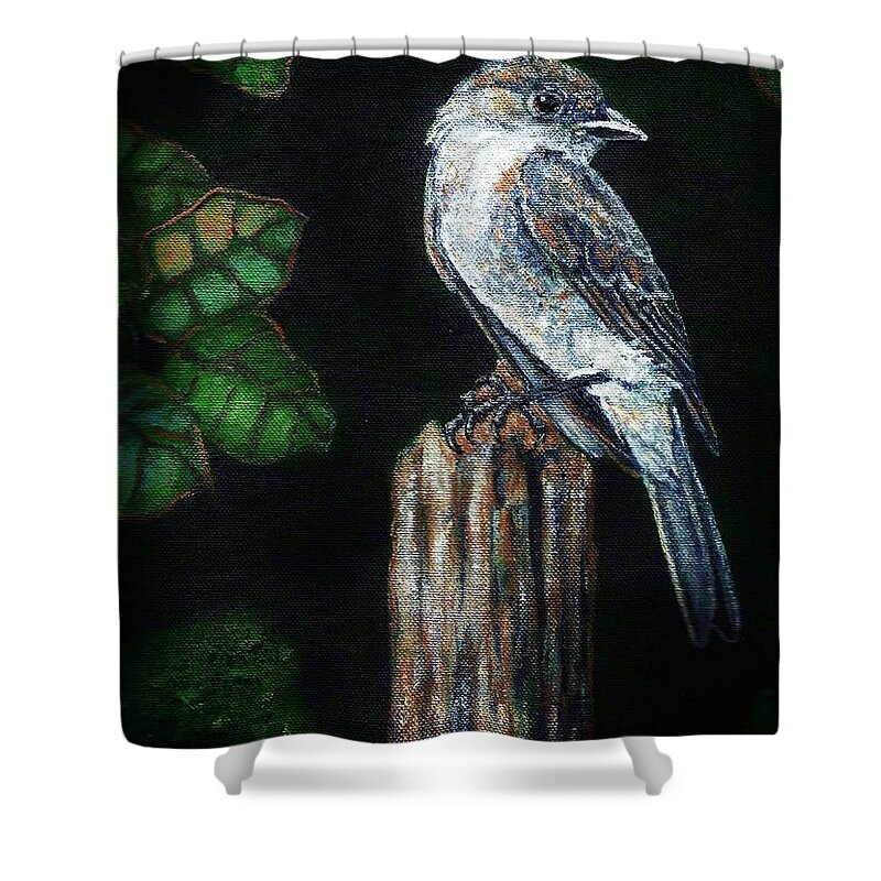 Bird Shower Curtain featuring the painting Phoebe Drama by VLee Watson
