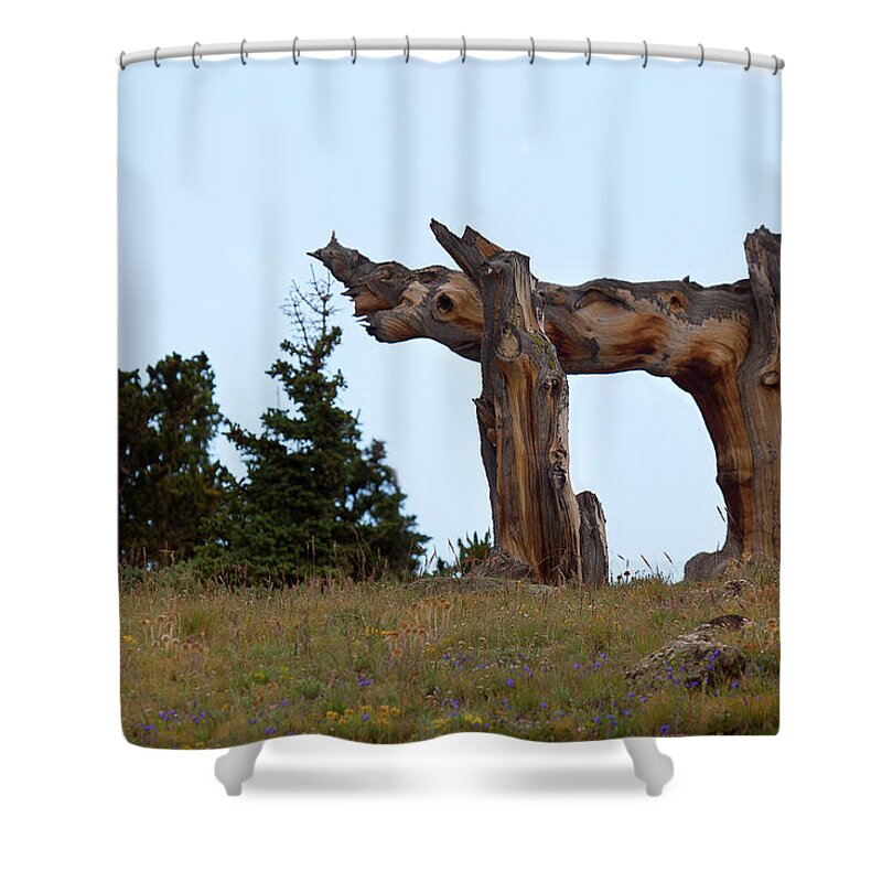 Pi Shower Curtain featuring the photograph Pi in the Sky by Jim Garrison