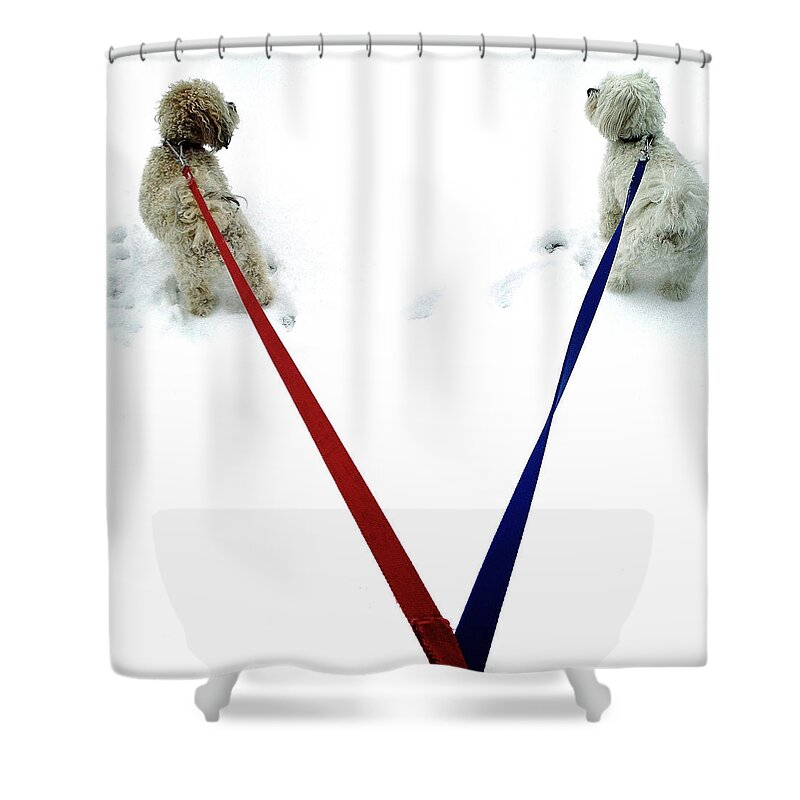 Dogs Shower Curtain featuring the photograph Pia and Pelle by Natasha Marco