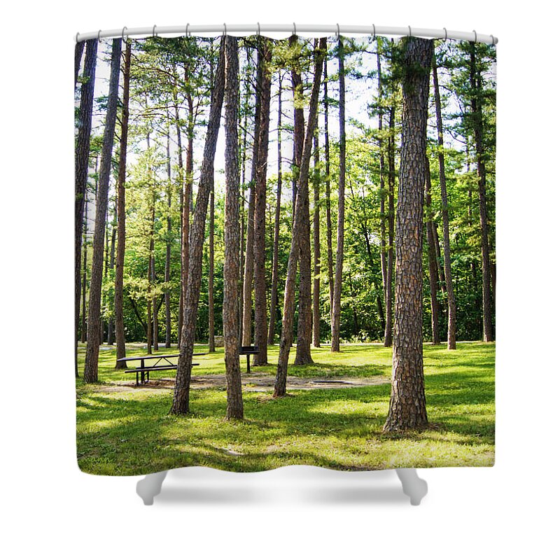 picnic In The Pines Shower Curtain featuring the photograph Picnic in the Pines by Cricket Hackmann