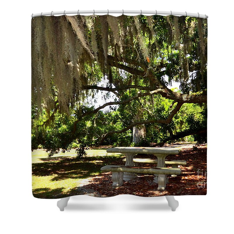 Spanish Moss Shower Curtain featuring the photograph Picnic under Spanish Moss by Amy Lucid