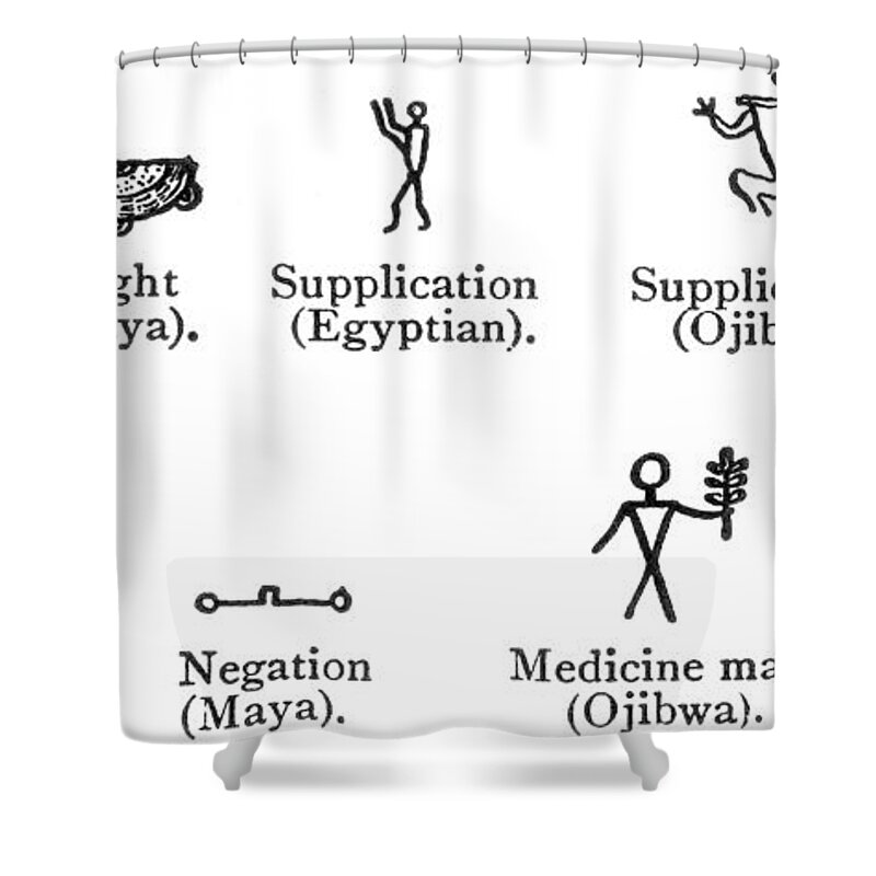Chirography Shower Curtain featuring the photograph Pictogram Comparisons by Science Source