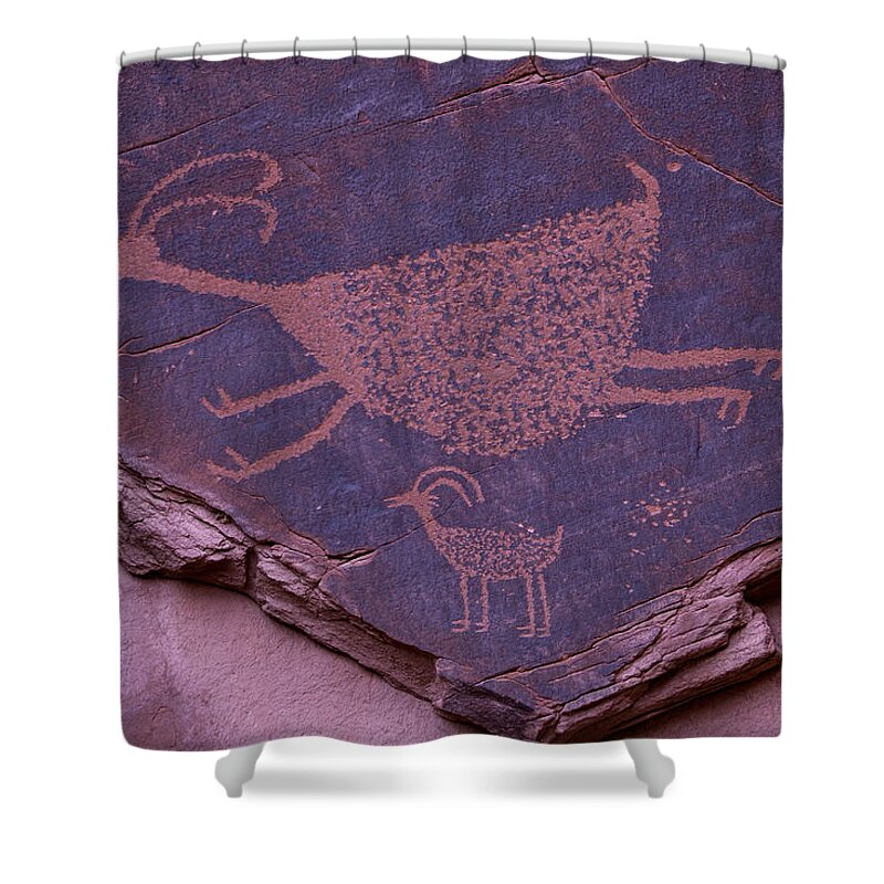 Pictograph Shower Curtain featuring the photograph Pictograph Monument Valley by Garry Gay