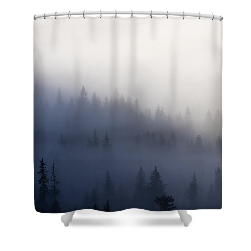 Fog Shower Curtains