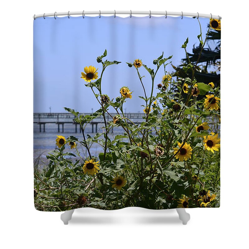 Bible Shower Curtain featuring the photograph Piering Through by Leticia Latocki