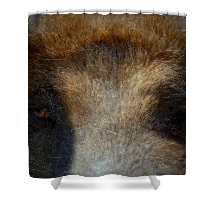  Piggy Shower Curtain featuring the photograph The Pig , hog ,Boar by Marysue Ryan