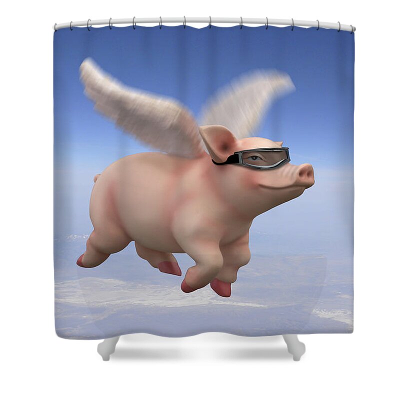 Pigs Fly Shower Curtain featuring the photograph Pigs Fly 1 by Mike McGlothlen