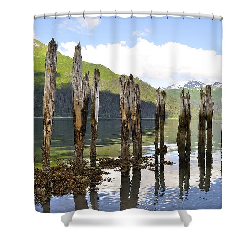 Landscape Shower Curtain featuring the photograph Pilings by Cathy Mahnke