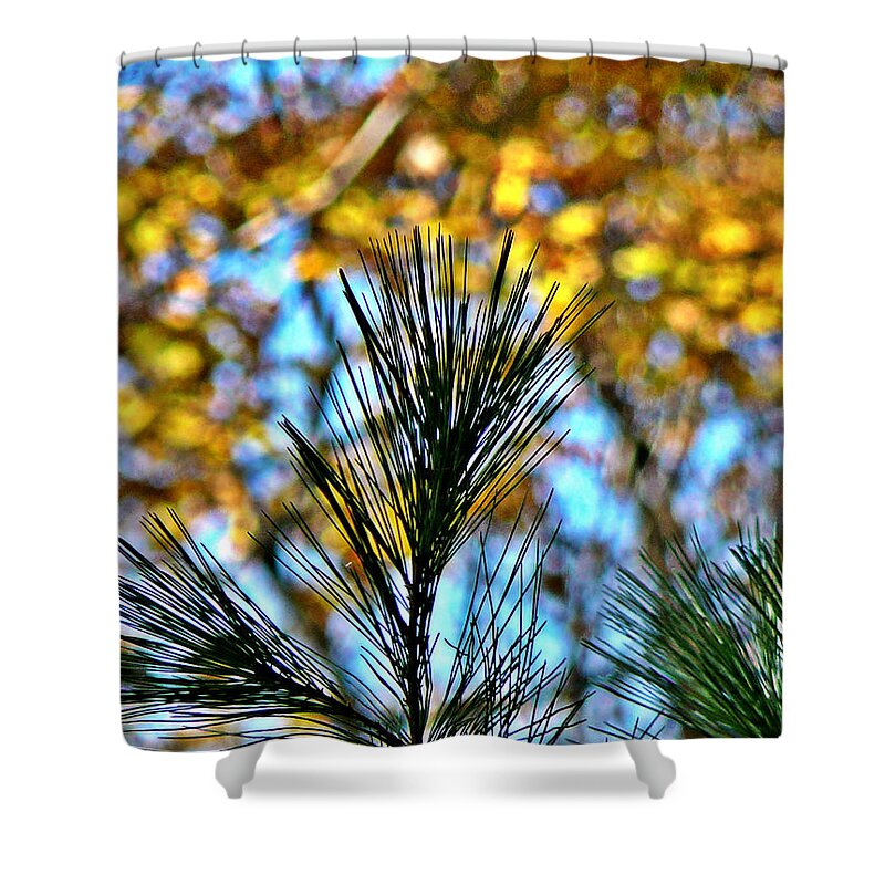 Pine Shower Curtain featuring the photograph Pine Bouquet 1 by Chris Sotiriadis