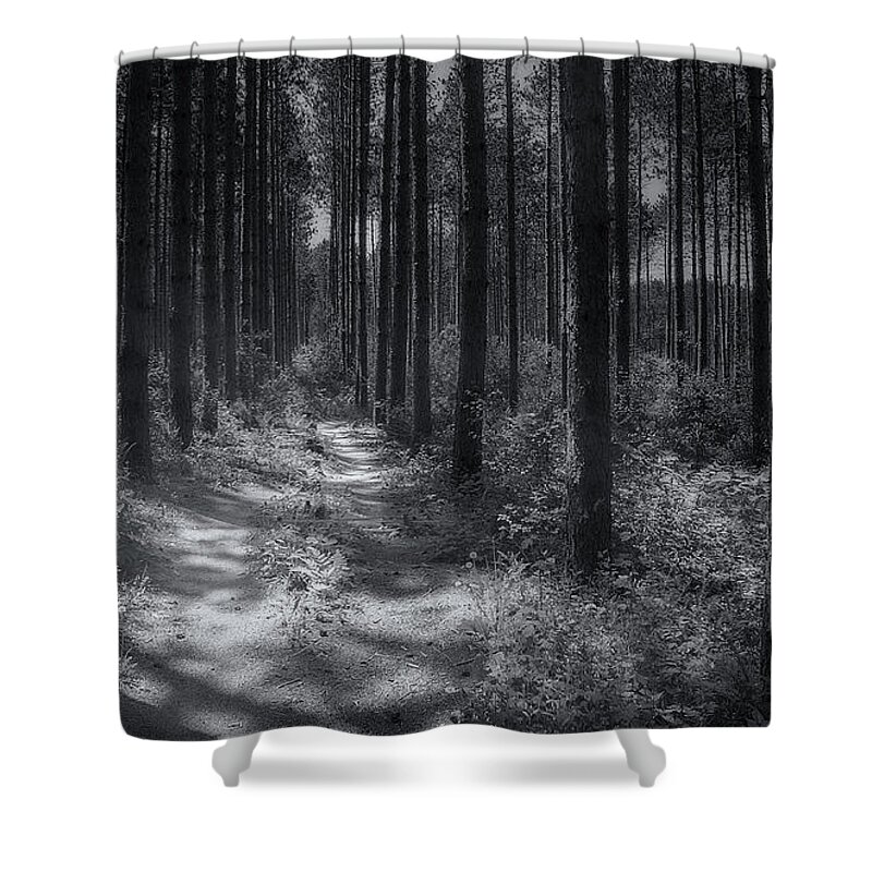 Straight Lines Shower Curtains