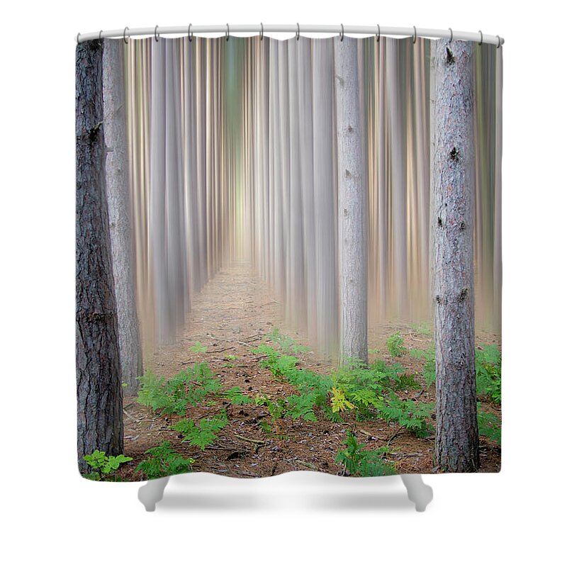 Tranquility Shower Curtain featuring the photograph Pine Trees In Fog by Charles Bonham Photography