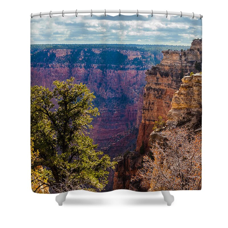Arizona Shower Curtain featuring the photograph Pines and Cliffs at the Grand Canyon by Ed Gleichman