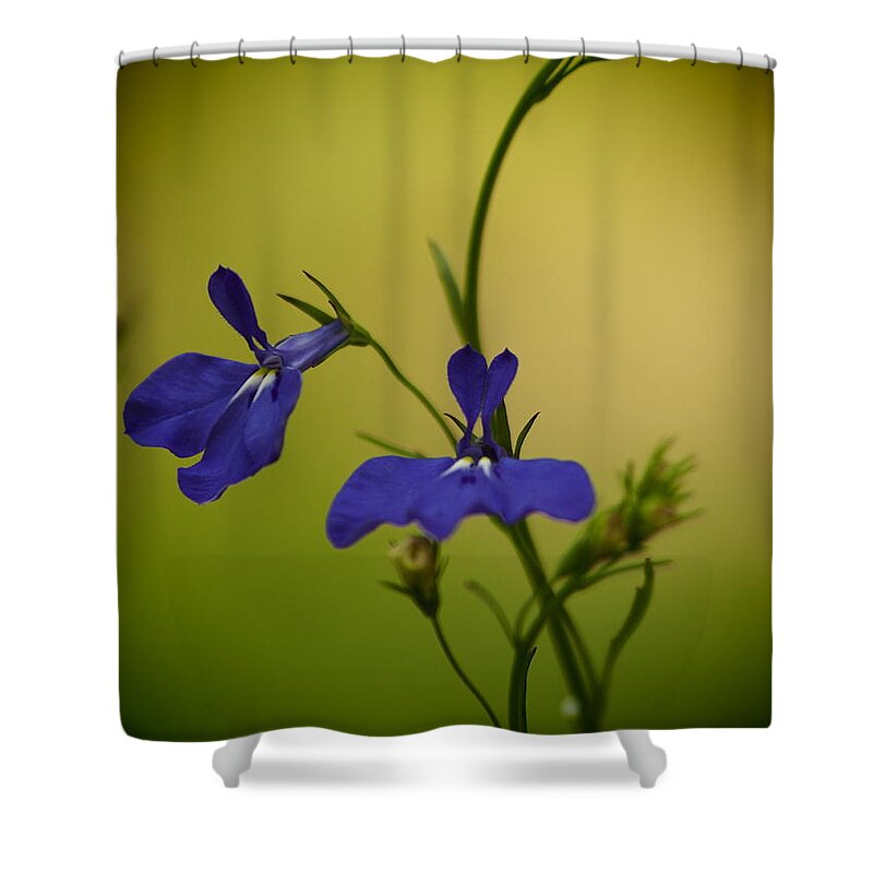 Flowers Shower Curtain featuring the photograph Pinhole View Of Lobelia by Dorothy Lee