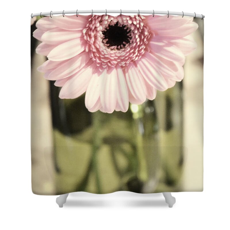 Pink Shower Curtain featuring the photograph Pink Blush by Traci Cottingham