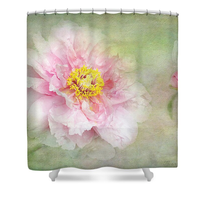 Pink Peony Bloom Shower Curtain featuring the photograph Pink Charm by Marina Kojukhova