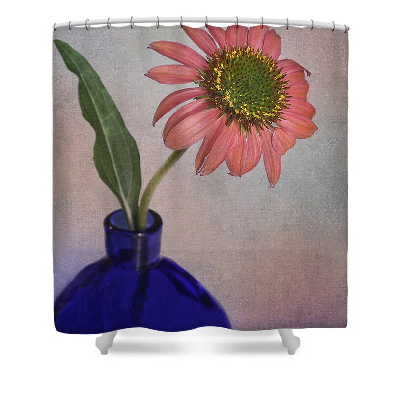Bloom Shower Curtain featuring the photograph Pink Cone Flower by David and Carol Kelly