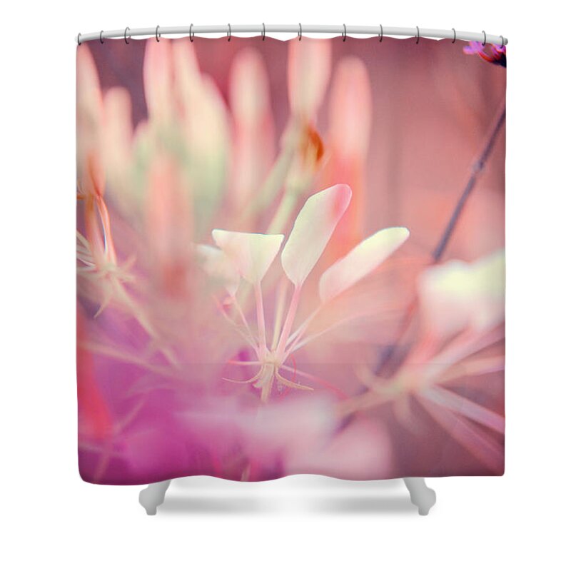 Plant Shower Curtain featuring the photograph Pink Dream by Jenny Rainbow