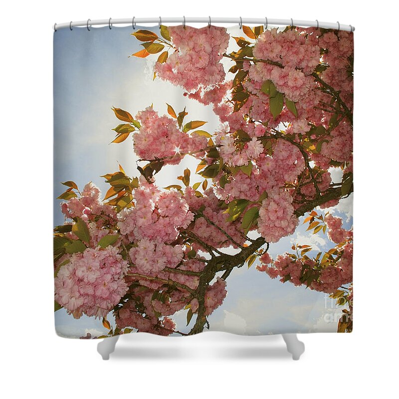 Pink Shower Curtain featuring the photograph Pink by Edmund Nagele FRPS