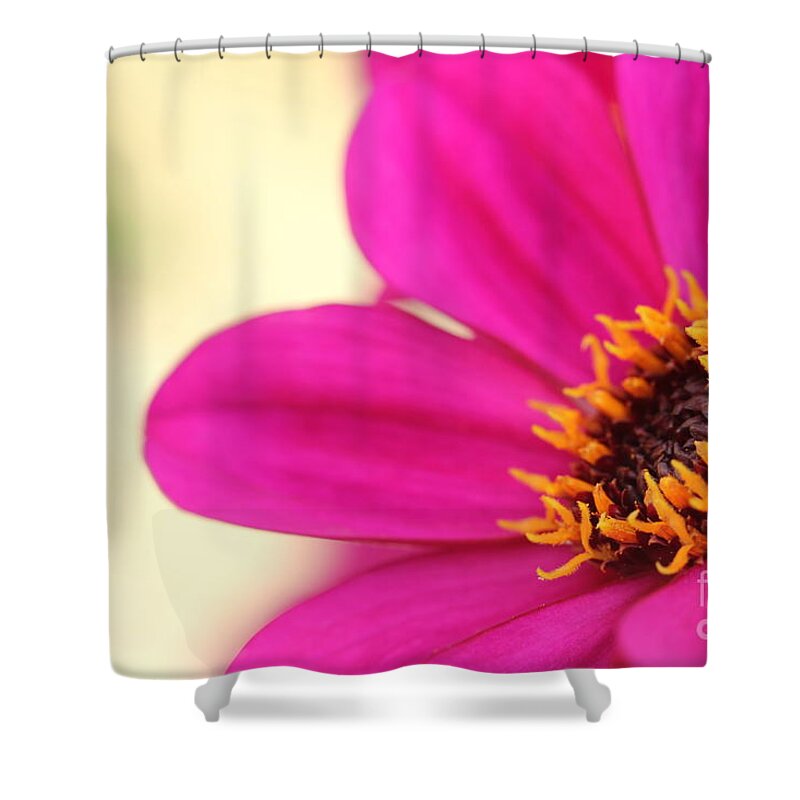 Beautiful Shower Curtain featuring the photograph Pink Flower by Amanda Mohler