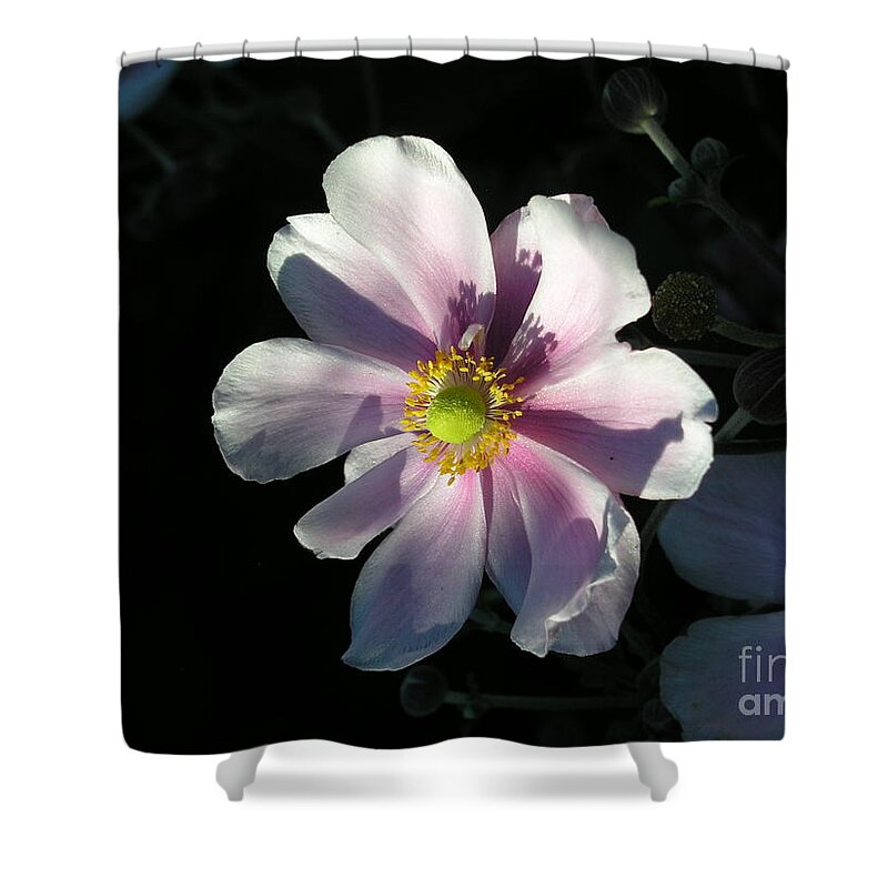 Pink Shower Curtain featuring the photograph Pink Flower by Bev Conover