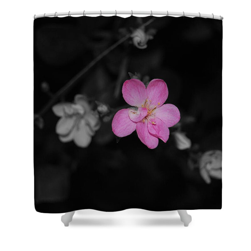 Pink Shower Curtain featuring the photograph Pink Flower by Maggy Marsh
