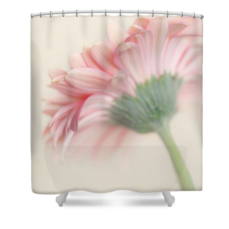 Flower Photography Shower Curtain featuring the photograph Pink Flower Photography - Pink Nursery Wall Art - Baby Girl Nursery Art - Pale Pink Mint Green Decor by Amy Tyler