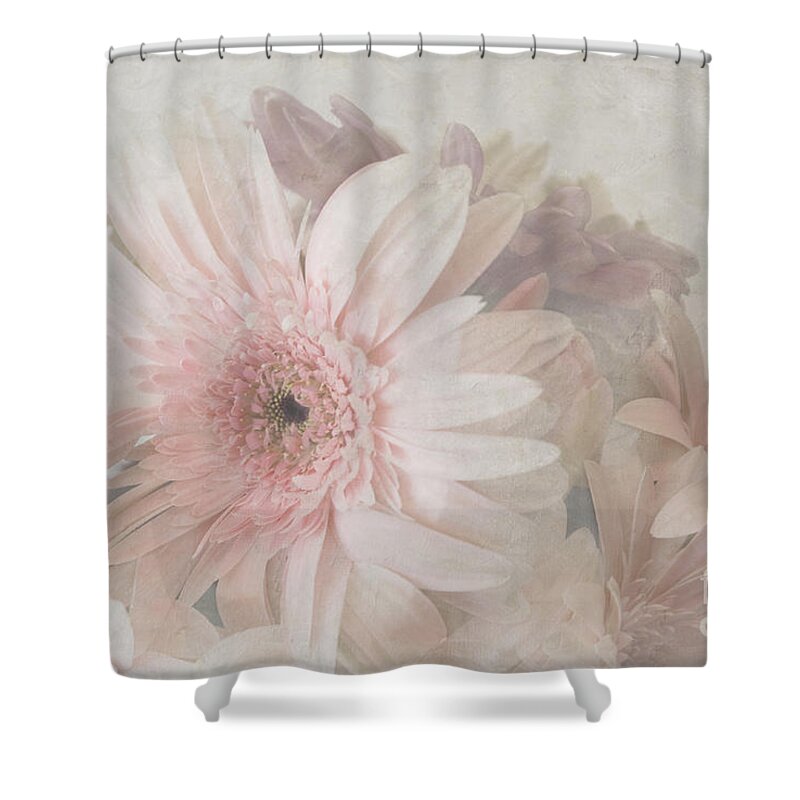 Pink Shower Curtain featuring the photograph Pink gerberas by Cindy Garber Iverson