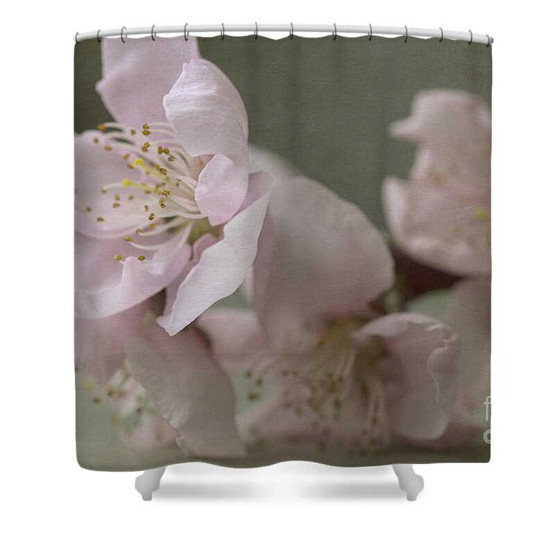 Pink Shower Curtain featuring the photograph Pink is the color of happiness by Linda Lees