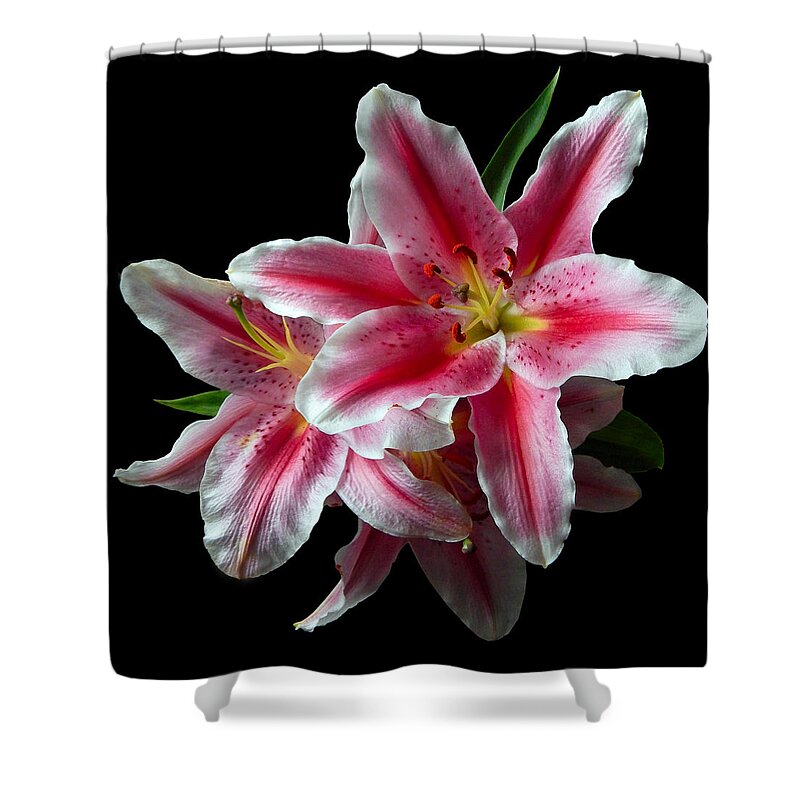 Flowers Shower Curtain featuring the photograph Pink Lilies Still Life Flower Art Poster by Lily Malor