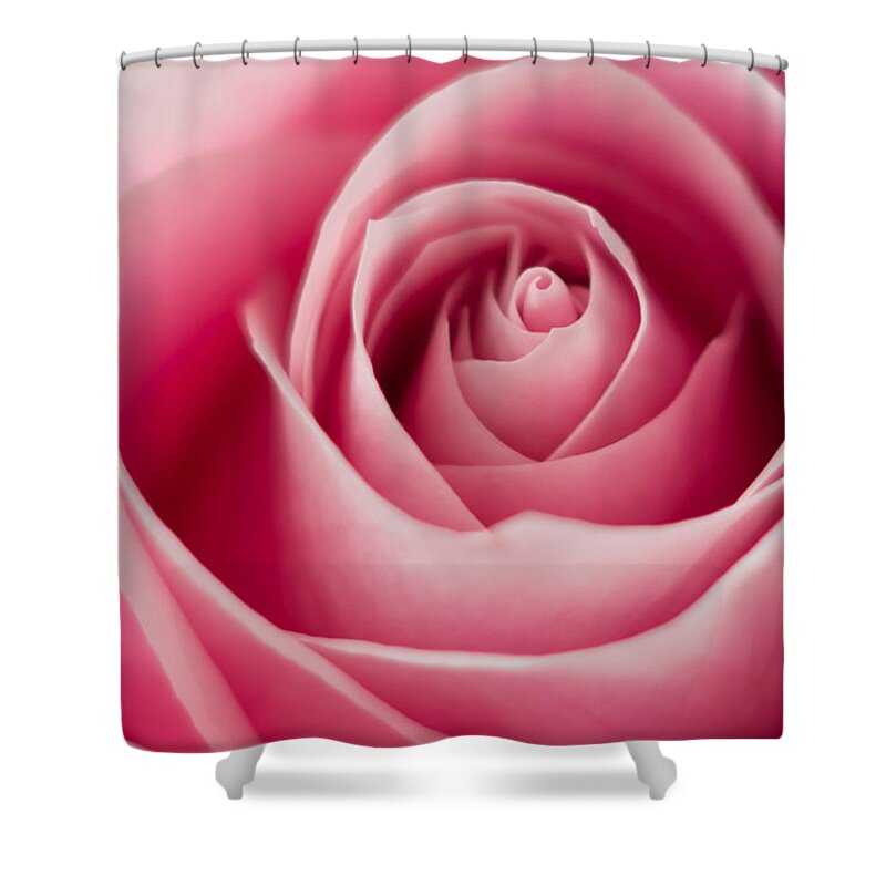 Rose Shower Curtain featuring the photograph Pink Passion by Ernest Echols