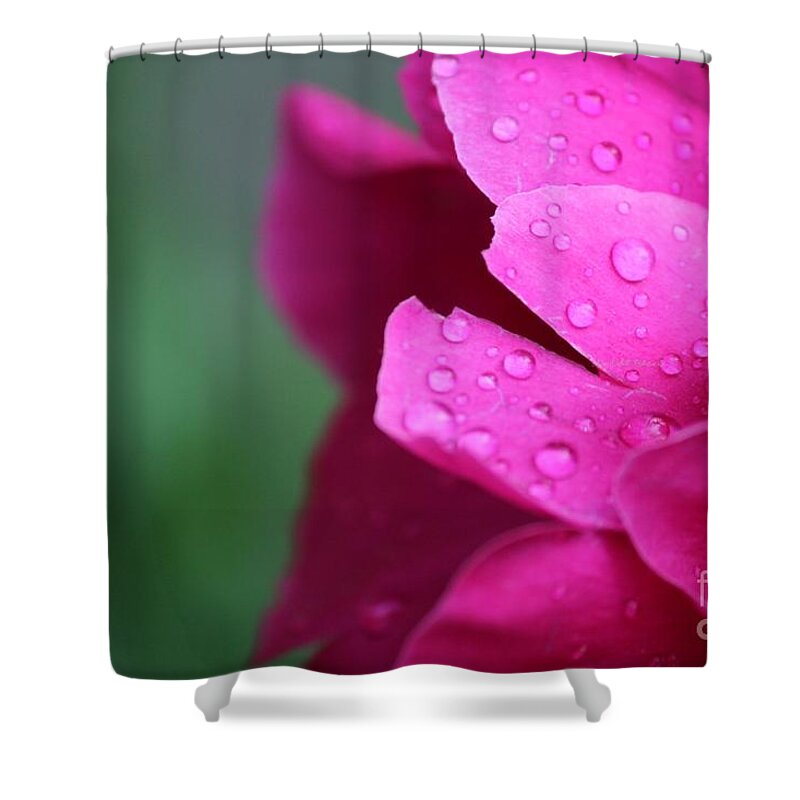 Pink Shower Curtain featuring the photograph Pink Peony by Ann E Robson
