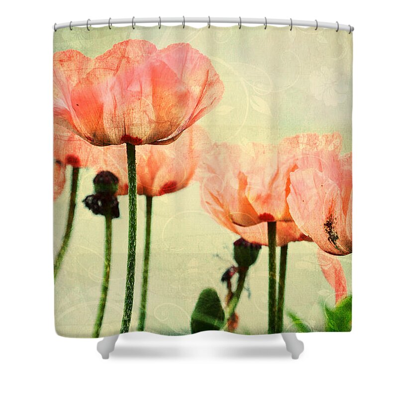 Poppies Shower Curtain featuring the photograph Pink Poppies in the Garden by Peggy Collins