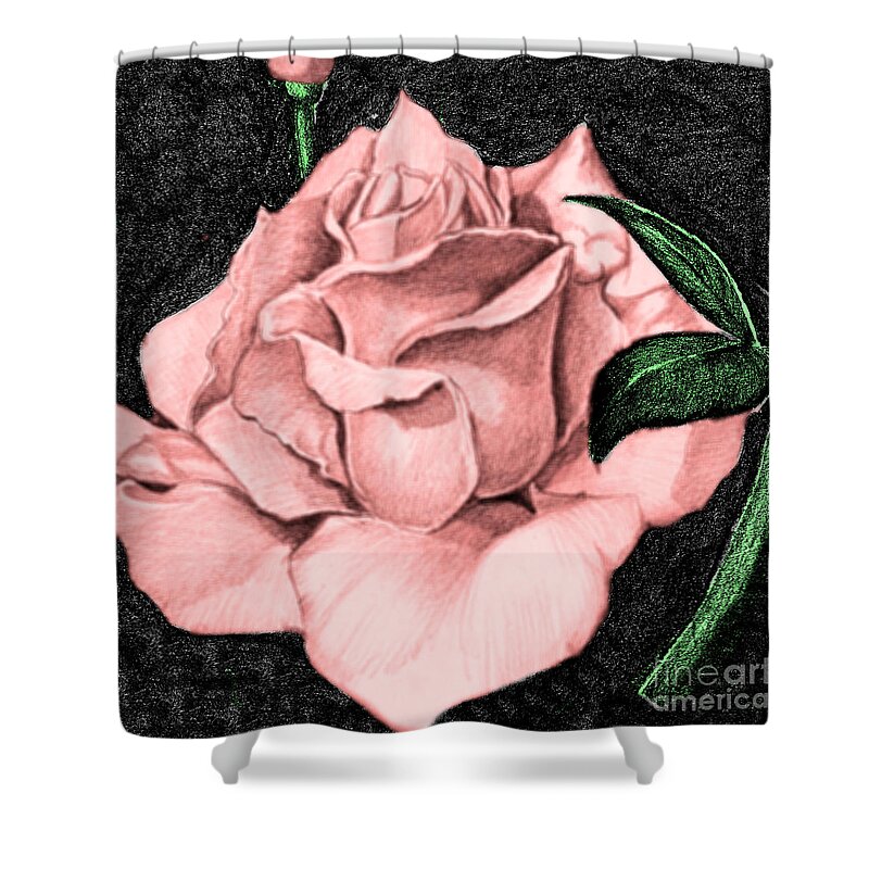 Rose Shower Curtain featuring the drawing Pink Rose by Bill Richards