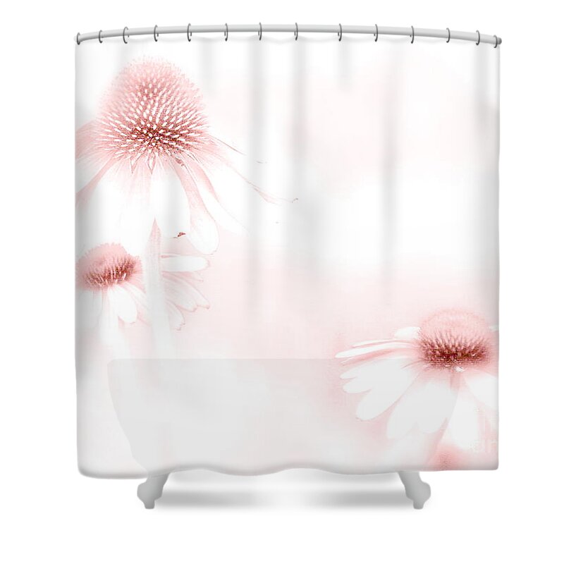 Echinecea Shower Curtain featuring the photograph Pink Sonata by Andrea Kollo