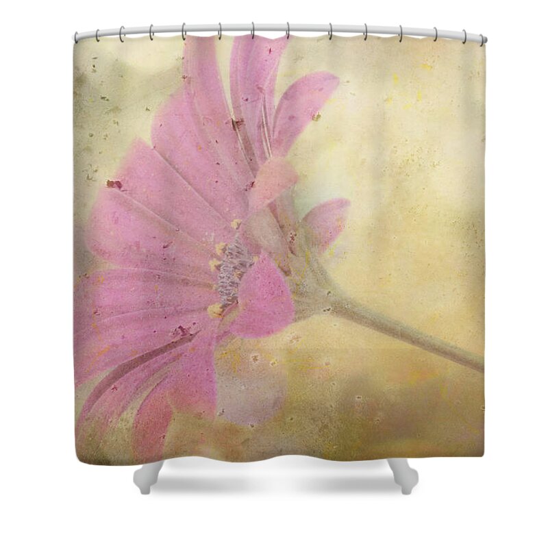 Pink Textured Gazania Shower Curtain featuring the photograph Pink Textured Gazania by Sandra Foster