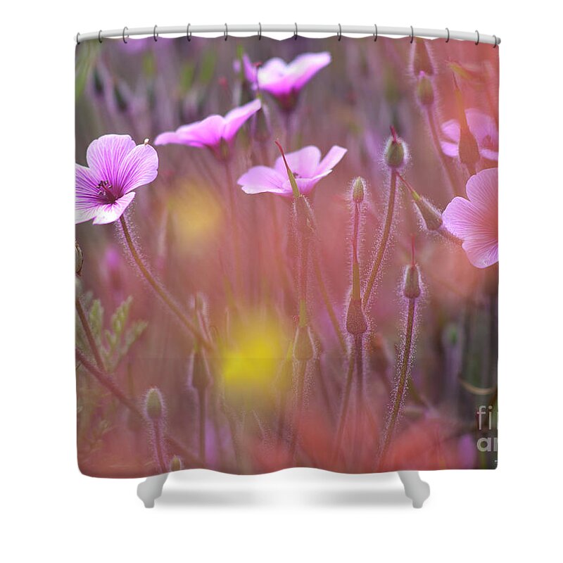 Geranium Shower Curtain featuring the photograph Pink wild Geranium by Heiko Koehrer-Wagner