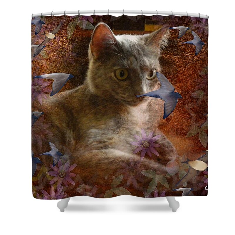 Cat Shower Curtain featuring the photograph Pinky's Dream by George Pedro