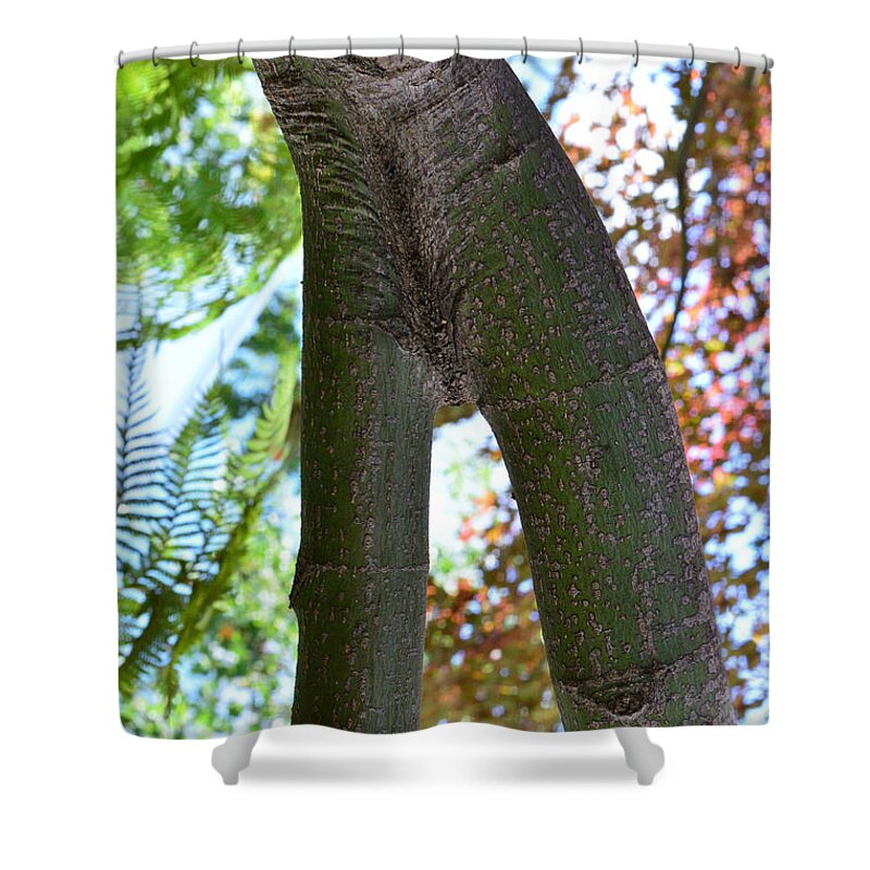 Nature Shower Curtain featuring the photograph Pinocchio's Maiden by Donna Blackhall