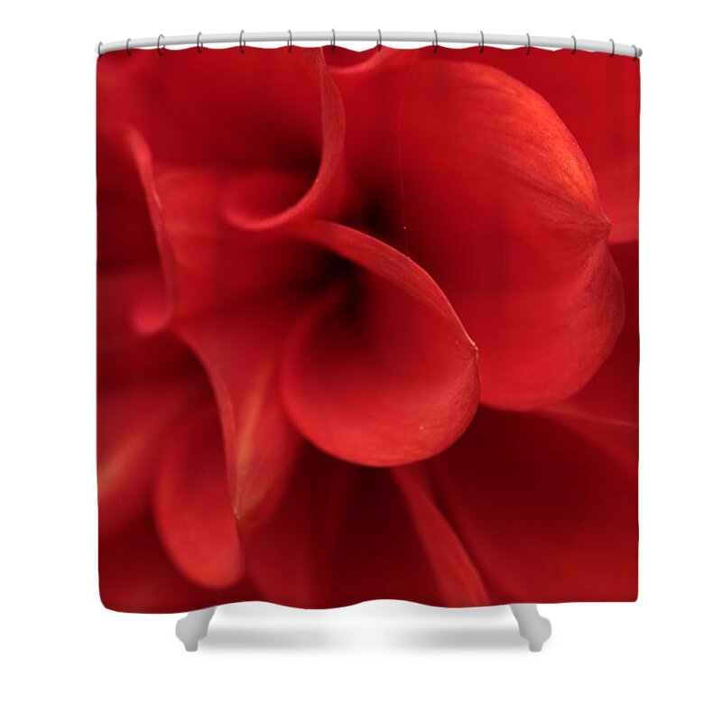 Connie Handscomb Shower Curtain featuring the photograph Scarlet Pipes by Connie Handscomb