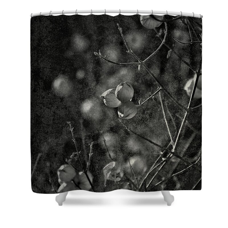 Floral Shower Curtain featuring the photograph Planets On Earth by Mark Ross