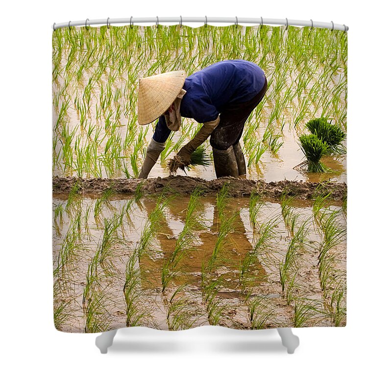 Planting Rice Shower Curtain featuring the photograph Planting Rice by J L Woody Wooden