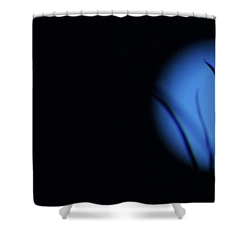 Moon Shower Curtain featuring the photograph Plant's EyE by Angela J Wright