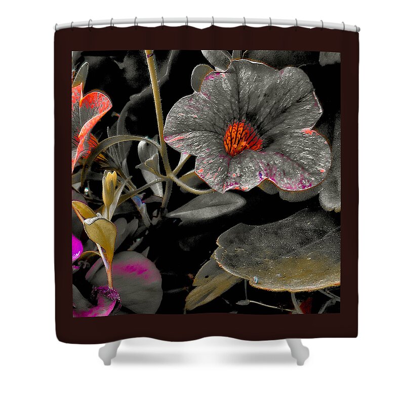 Floral Wall Art Shower Curtain featuring the photograph Pocket Of Orange by Thom Zehrfeld