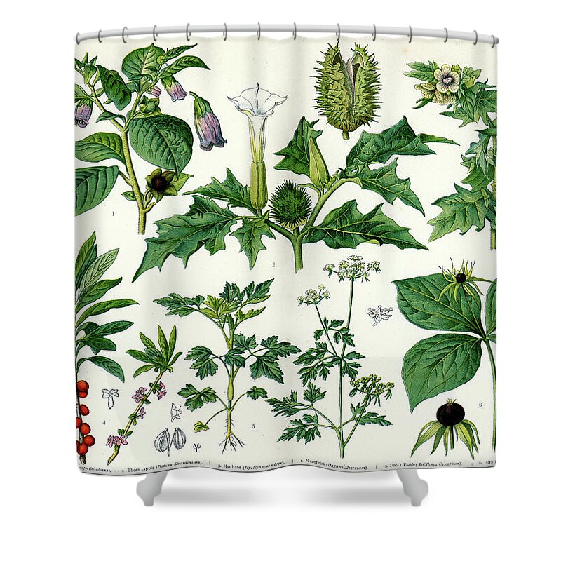 Printmaking Technique Shower Curtain featuring the digital art Poisonous Plants by Duncan1890