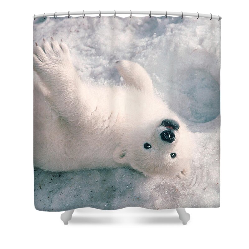 Animal Shower Curtain featuring the photograph Polar Bear Cub by Mark Newman