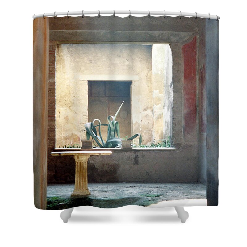 Pompeii Shower Curtain featuring the photograph Pompeii Courtyard by Marna Edwards Flavell